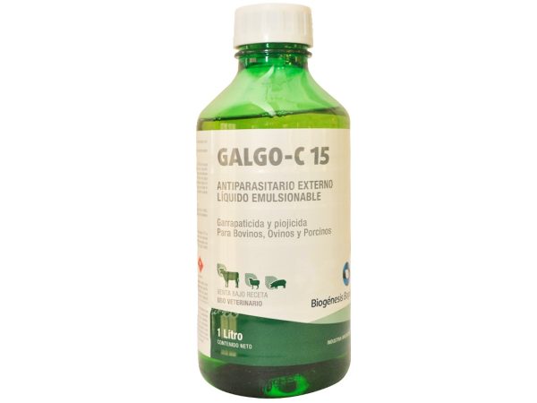 GALGO C x 1
