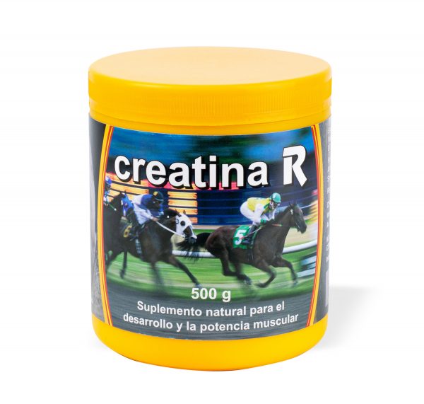 CREATINA