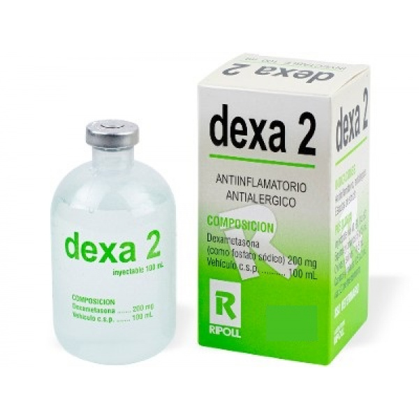 DEXA 2