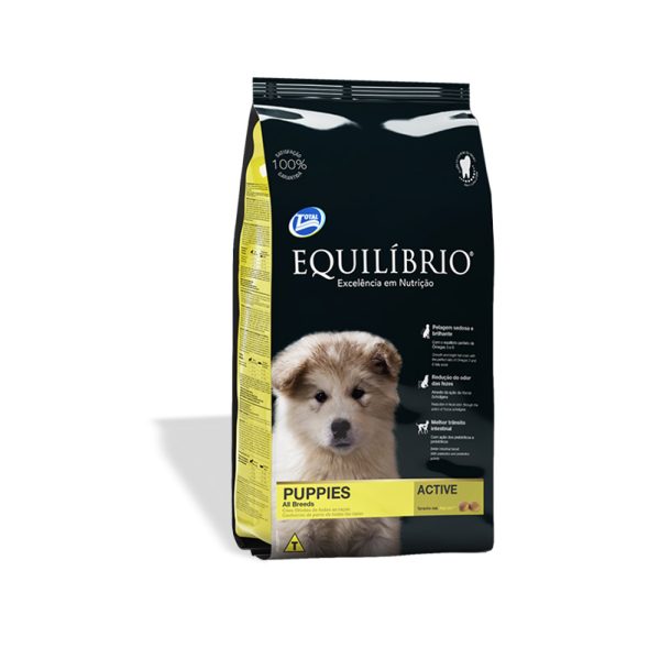 EQUILIBRIO CACHORRO MEDIANO 1