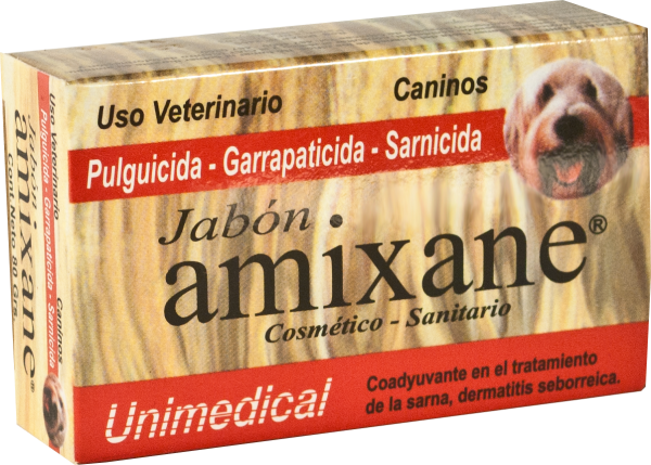 AMIXANE JABON X 80 GR
