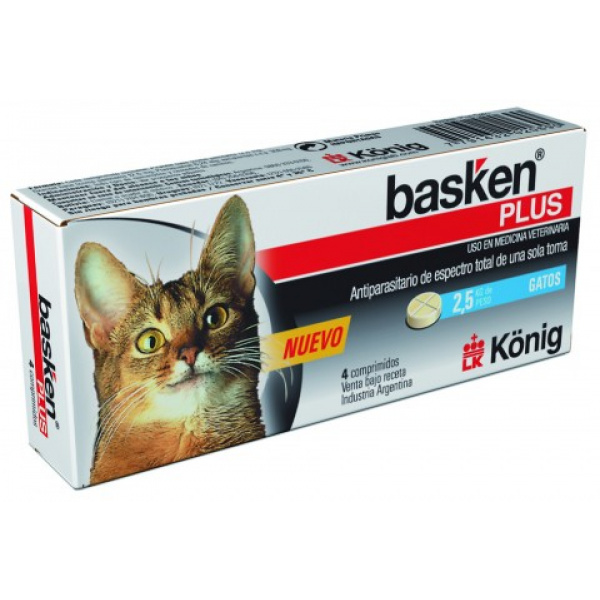 basken-plus-gatos