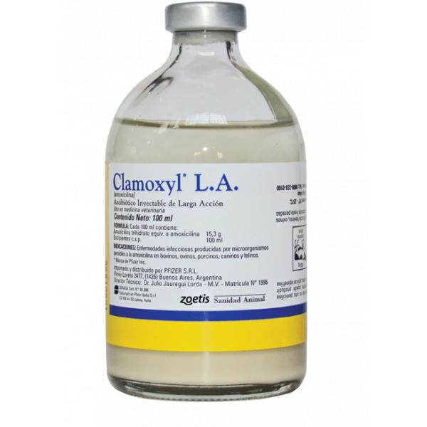 CLAMOXYL