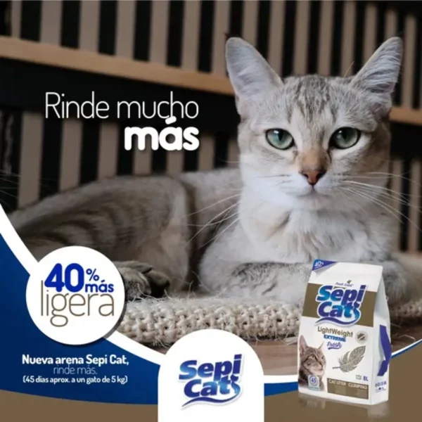 SEPICAT 2 SEPICAT 2 e1763730406571