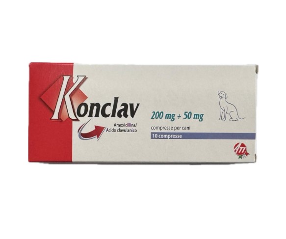 KONCLAV 250 MG X 10 COMP