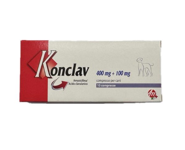 KONCLAV 500 MG X 10 COMP