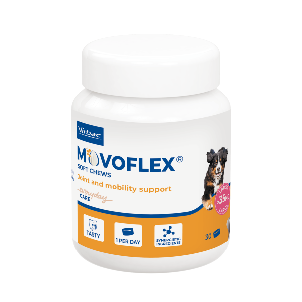 MOVOFLEX L X 30 COMPRIMIDOS